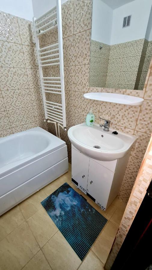 Cozy Studio Brăila エクステリア 写真