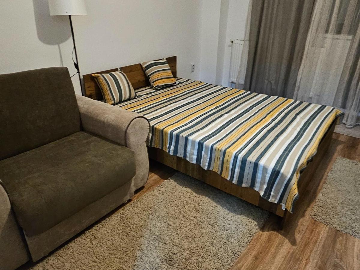 Cozy Studio Brăila エクステリア 写真